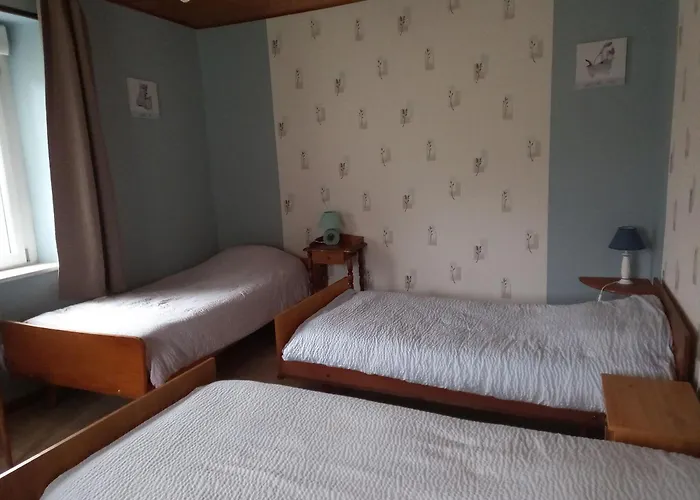 Gite En Pleine Nature, Proche De La Bresse Avec Activites Familiales, Terrasse Et Poele A Bois - Fr-1-589-70